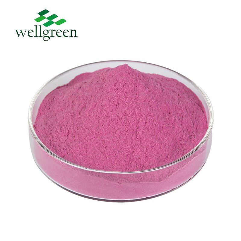 Dragon Fruit Powder Manufacturer - Superior Food Grade Freeze Dried Water Soluble