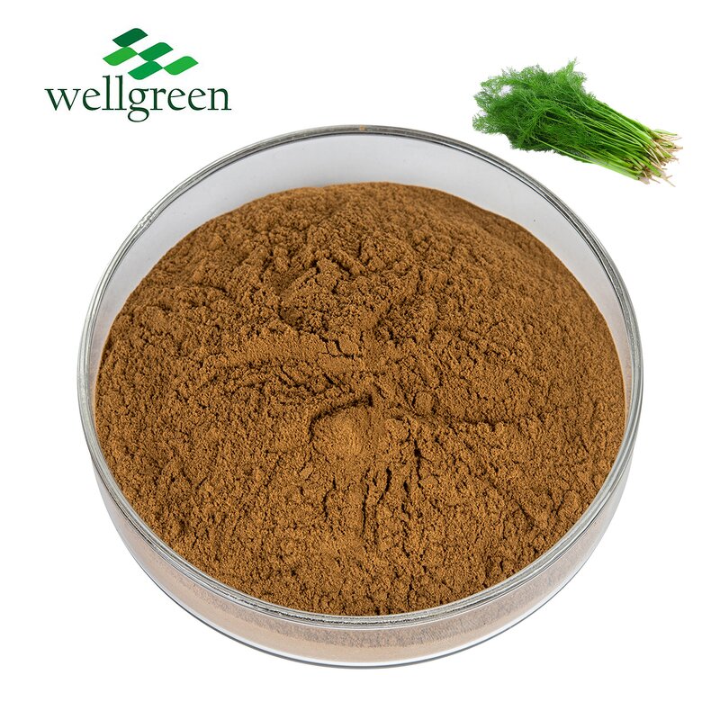 Fennel Extract Powder Manufacturer - Factory Direct OEM from Illicium Verum Seed