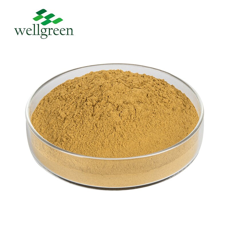 Yucca Extract Powder Manufacturer - Natural Plant Feed Organic