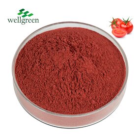 Tomato Powder Manufacturer - Natural Organic Food Grade Spray Dried