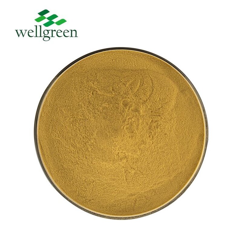 Chlorogenic Acid Manufacturer - Wellgreen Natural 98% from Honeysuckle Flower