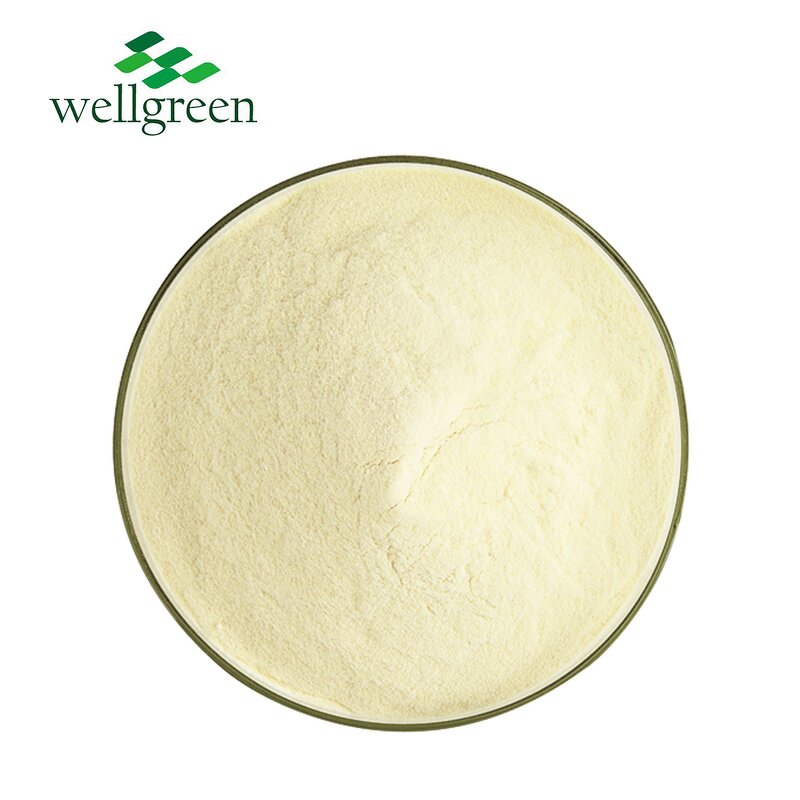 Liposomal Vitamin C Powder Manufacturer - Wellgreen 50% Ascorbic Acid