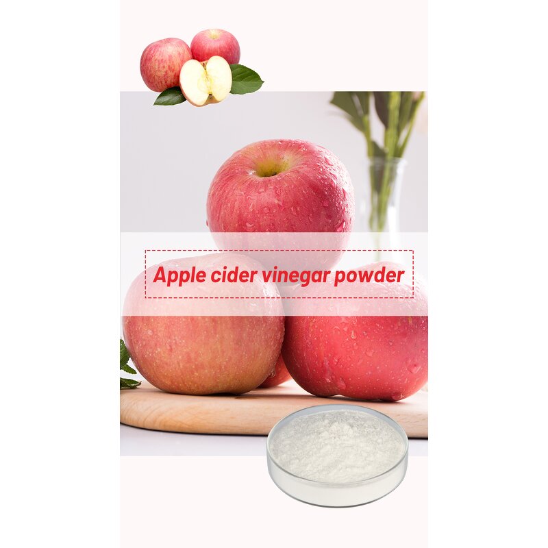 Apple Cider Vinegar Powder Manufacturer - Bulk Price Food Grade Organic 5%
