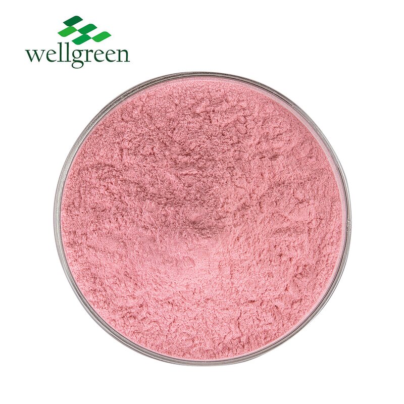 Watermelon Powder Manufacturer - Pure Natural Fruit Freeze Dried