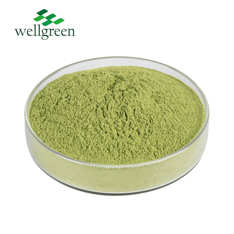 Moringa Powder Manufacturer - Wholesale Bulk Organic Pure Natural Leaf