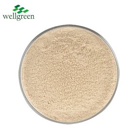 Tremella Mushroom Extract Manufacturer - USDA & EU Organic 30% Powder