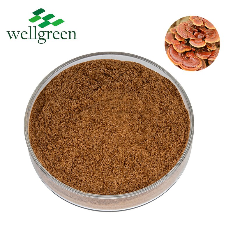Mushroom Extract Powder Manufacturer - Wellgreen Organic Shiitake, Maitake, Reishi Blend