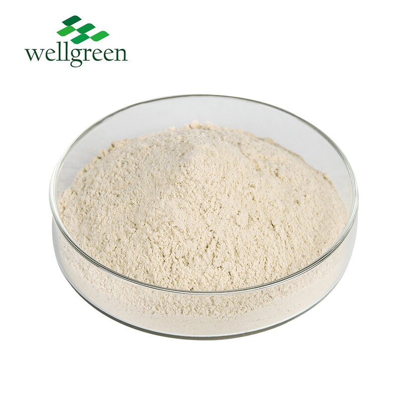 Horse Chestnut Extract Powder Manufacturer - Chinese Supplier Free Sample