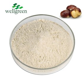Horse Chestnut Extract Powder Manufacturer - Chinese Supplier Free Sample