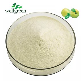 Greengage Powder Manufacturer - Wellgreen 100% Organic Fruit Enzymes Dried