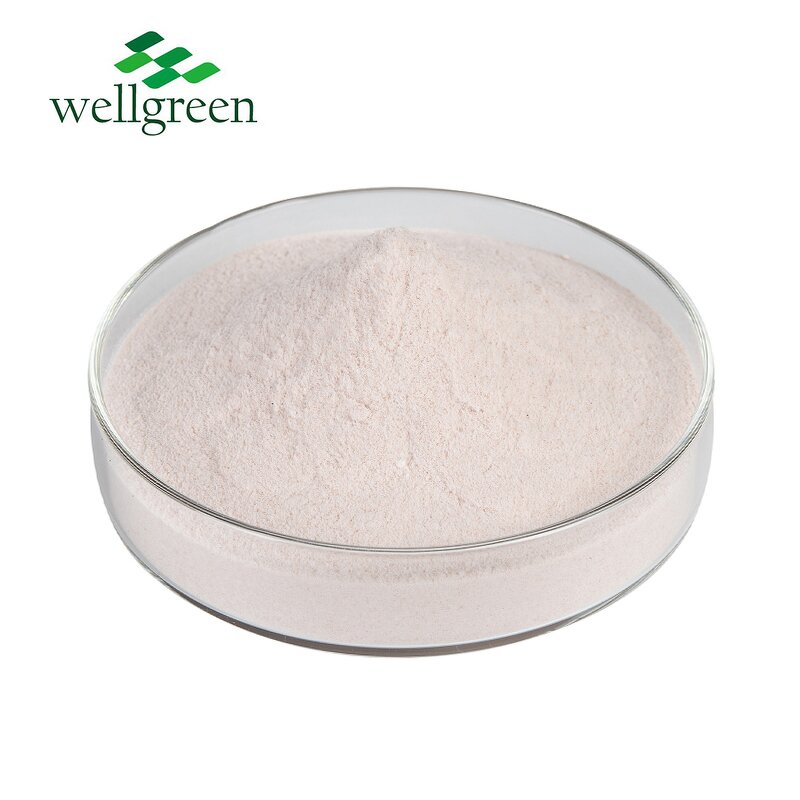 Mangosteen Powder Manufacturer - Organic Fruit Extract Purple Peel Concentrate