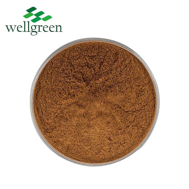 Ivy Leaves Extract Manufacturer - Chinese Herb Dried Hedera Helix Water Soluble Hederin