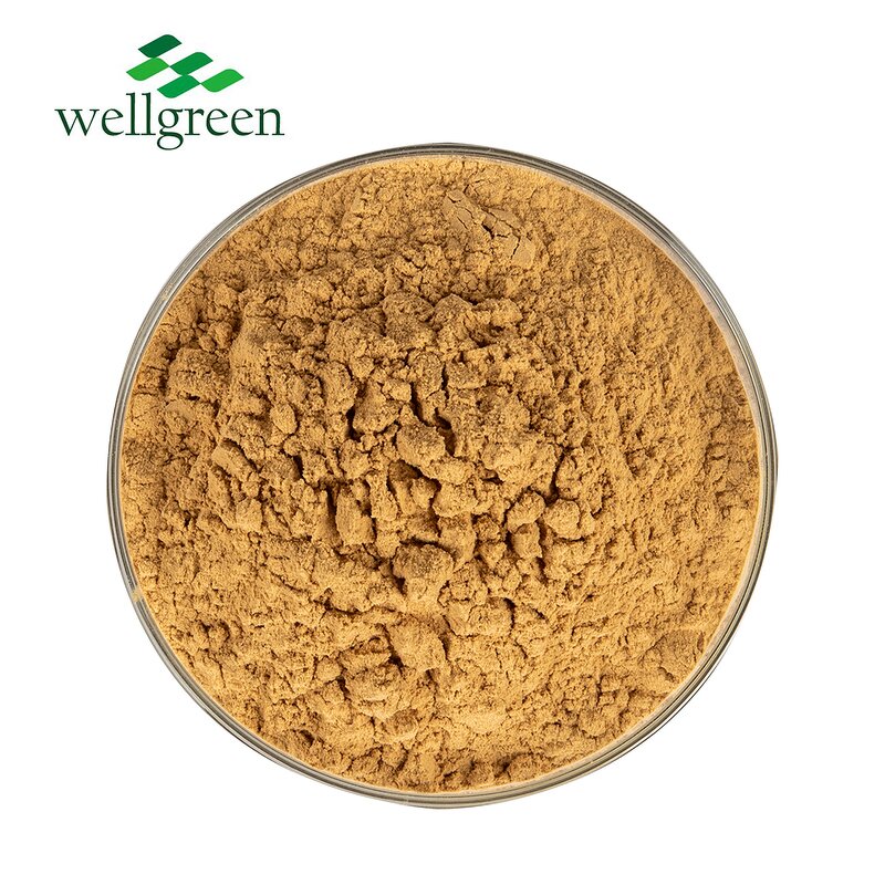 Yucca Extract Powder Manufacturer - Schidigera Root Saponin