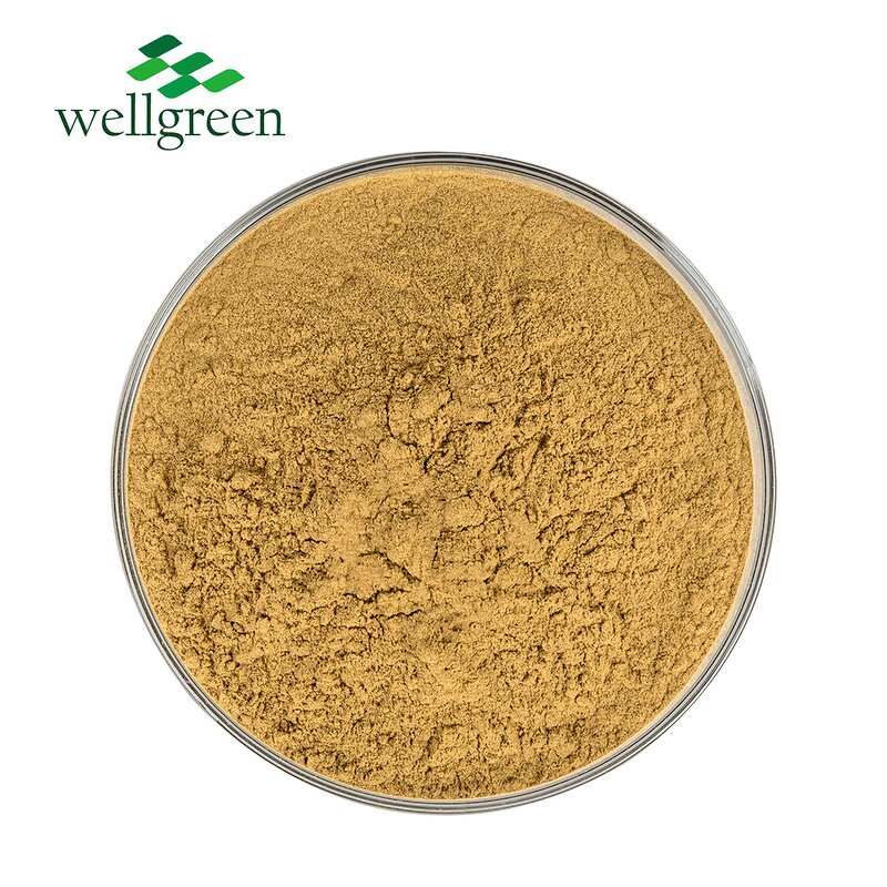 Yucca Extract Powder Manufacturer - Natural Plant Feed Organic