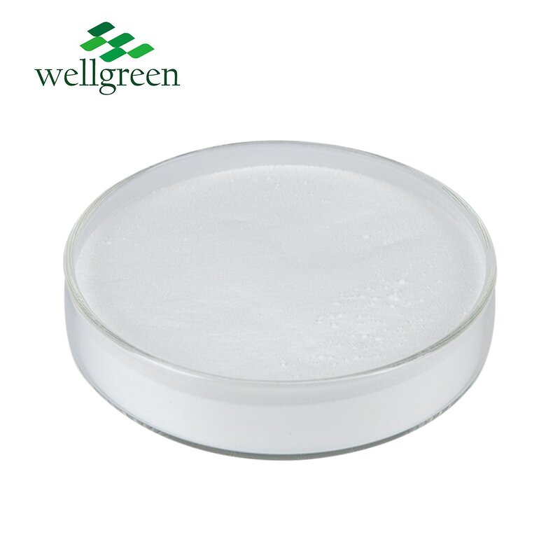 L-Aspartic Acid Manufacturer - Wellgreen Bulk Food & Cosmetic Grade CAS 56-84-8