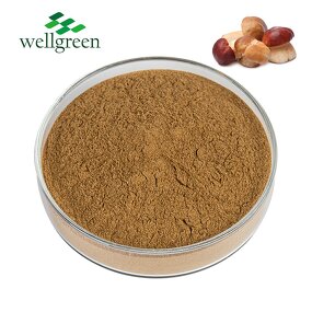 Porcini Extract Manufacturer - 100% Natural 50% Polysaccharides Powder