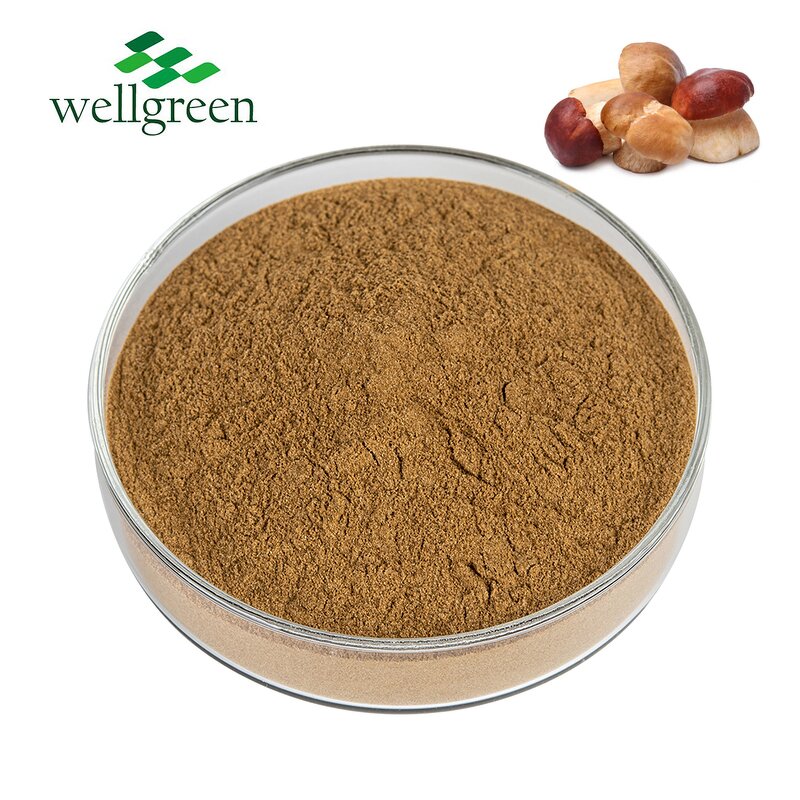 Porcini Extract Manufacturer - 100% Natural 50% Polysaccharides Powder