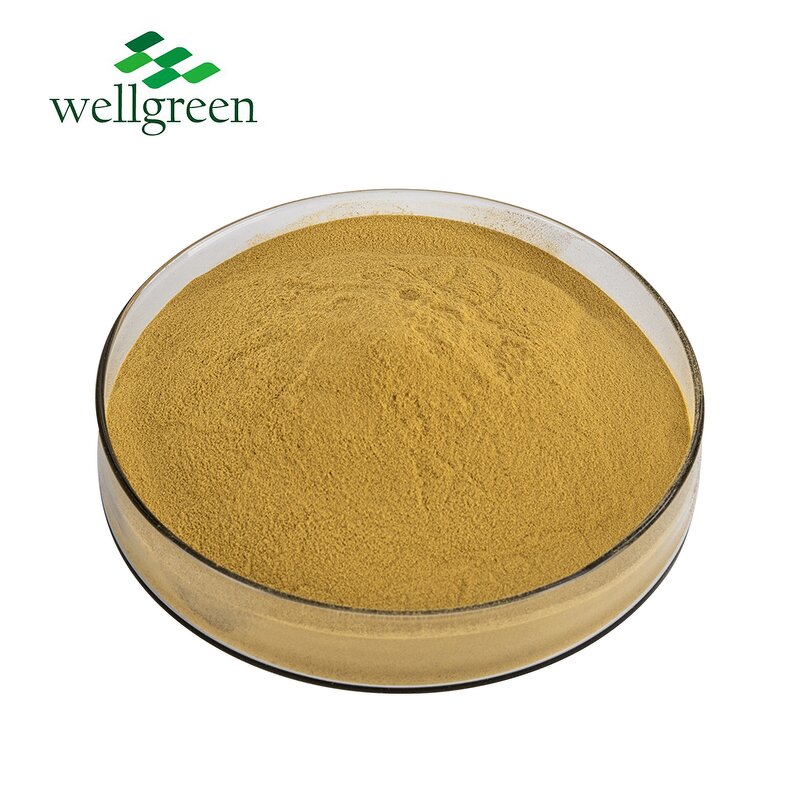 Chlorogenic Acid Manufacturer - Wellgreen Natural 98% from Honeysuckle Flower