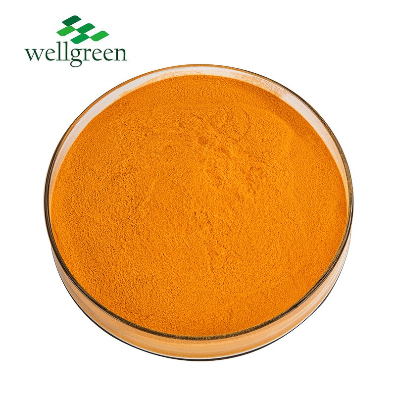 Riboflavin Powder Manufacturer - USP Food Grade 80% CAS 83-88-5