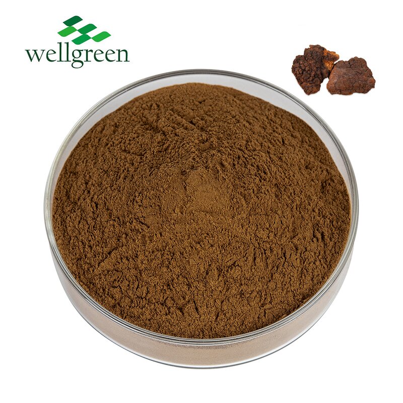 Shiitake Mushroom Extract Manufacturer - Wellgreen USDA 30% & 50% AHCC Powder