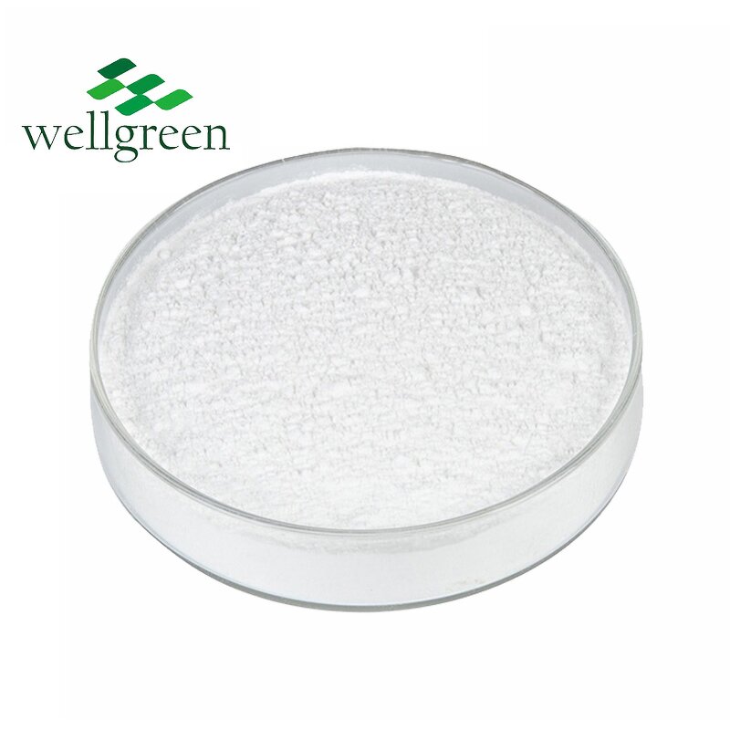 D-Biotin Powder Manufacturer - Wellgreen Bulk Pure Vitamin H for Hair Growth