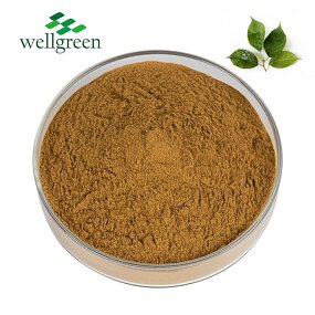 Eucommia Extract Manufacturer - Feed Additives 10% Chlorogenic Acid