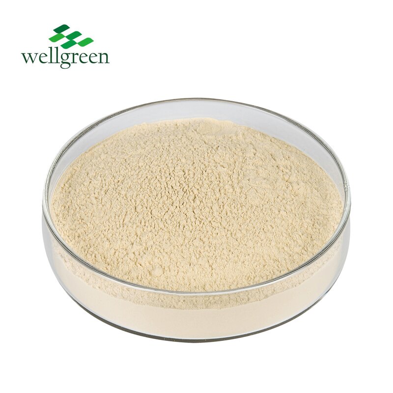 White Button Mushroom Powder Manufacturer - Wellgreen EU Organic Agaricus Bisporus