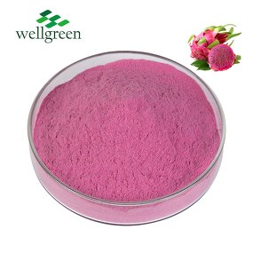 Dragon Fruit Powder Manufacturer - 100% Natural Organic Freeze Dried Red Pitaya