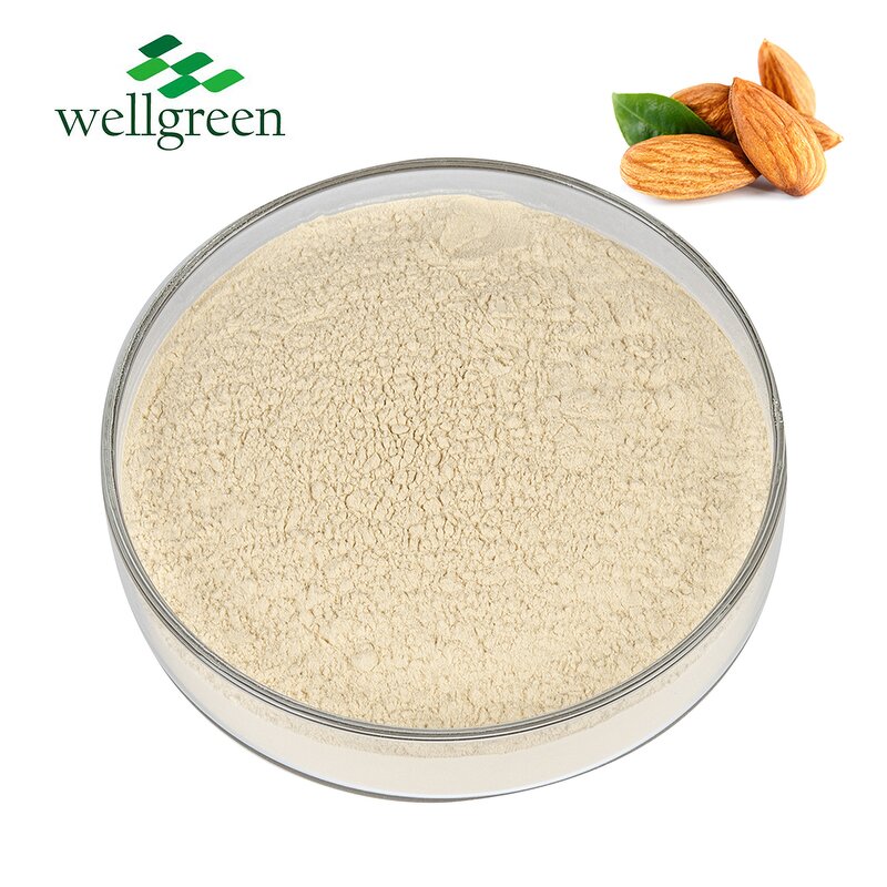 Almond Powder Manufacturer - Juice Nutrition Casa Shell Instant Milk Flour Protein