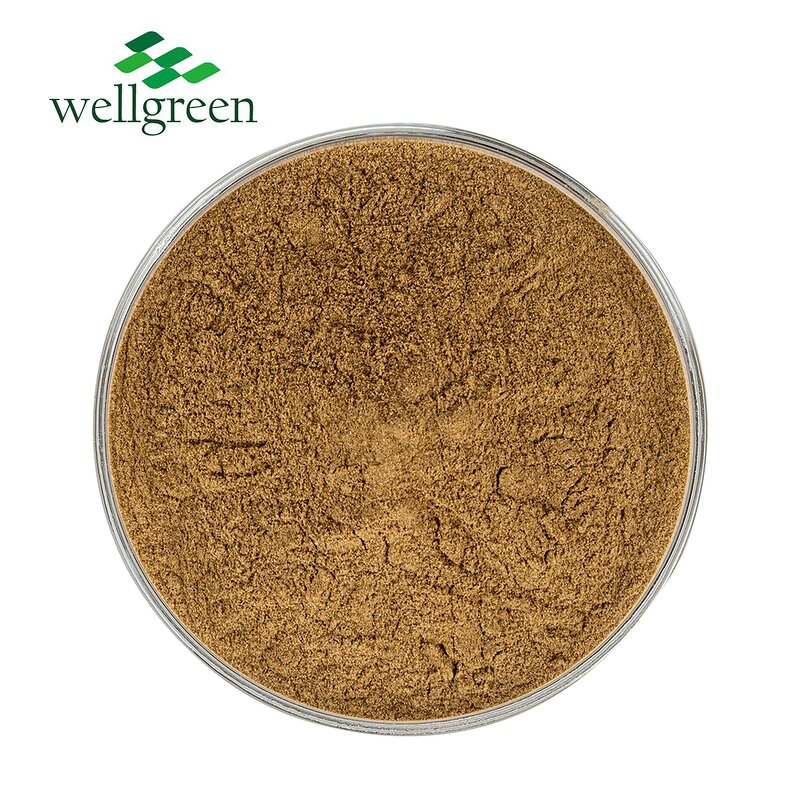 Porcini Extract Manufacturer - 100% Natural 50% Polysaccharides Powder