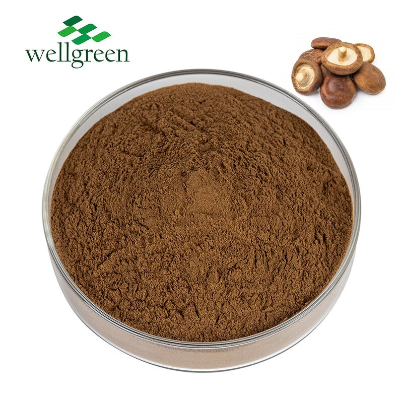 Mushroom Extract Powder Manufacturer - Wellgreen Organic Shiitake, Maitake, Reishi Blend