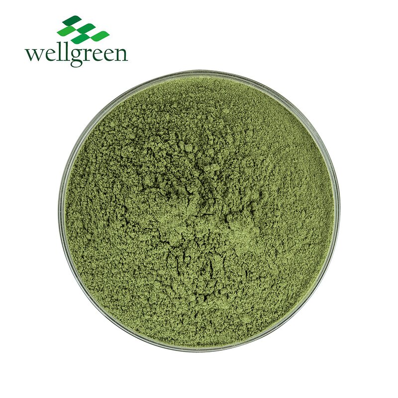 Wild Lettuce Powder Manufacturer - Free Sample Water Soluble Natural Vegetable