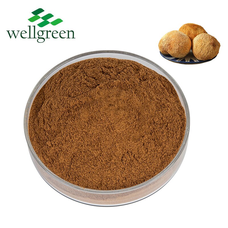 Lion's Mane Mushroom Extract Manufacturer - Wellgreen Organic 30% Beta-Glucan