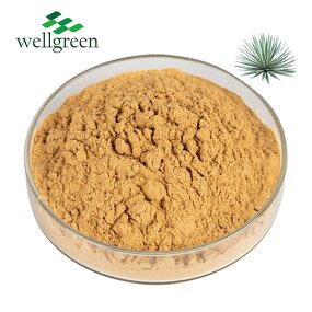 Yucca Extract Powder Manufacturer - Natural Plant Feed Organic