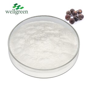 Soapberry Extract Powder Manufacturer - 100% Natural 40%-80% Saponins for Baby Soap
