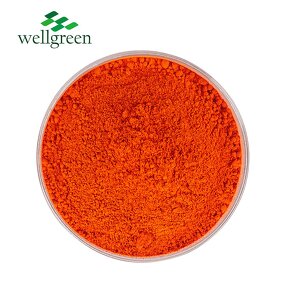 Beta-Carotene Powder Manufacturer - Food Grade Natural Carrot Extract