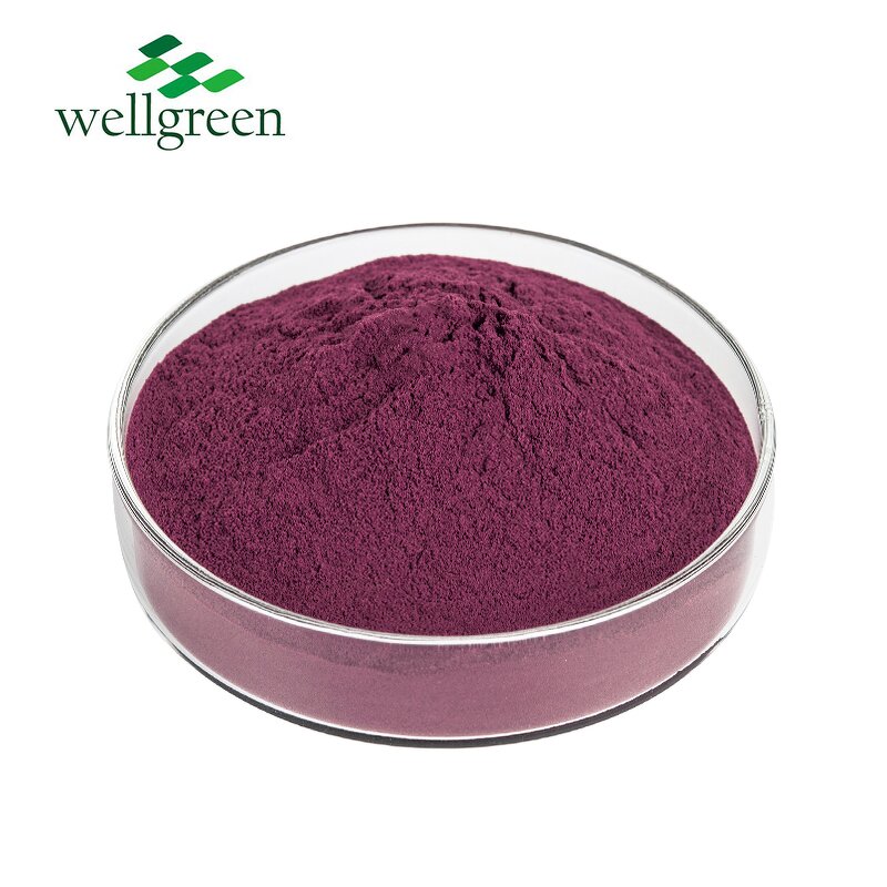 Prune Powder Manufacturer - Wellgreen Juice Prunes Black Sweet Dried