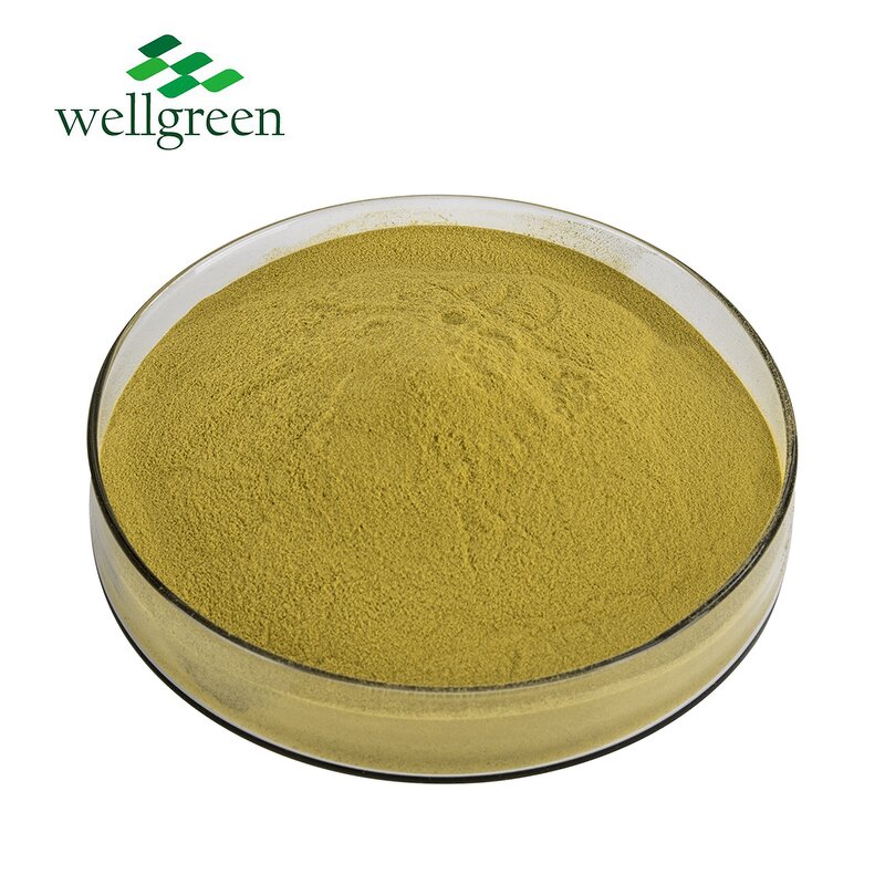 Green Lipped Mussel Powder Manufacturer - Factory Direct 100% Nature Pure Dried