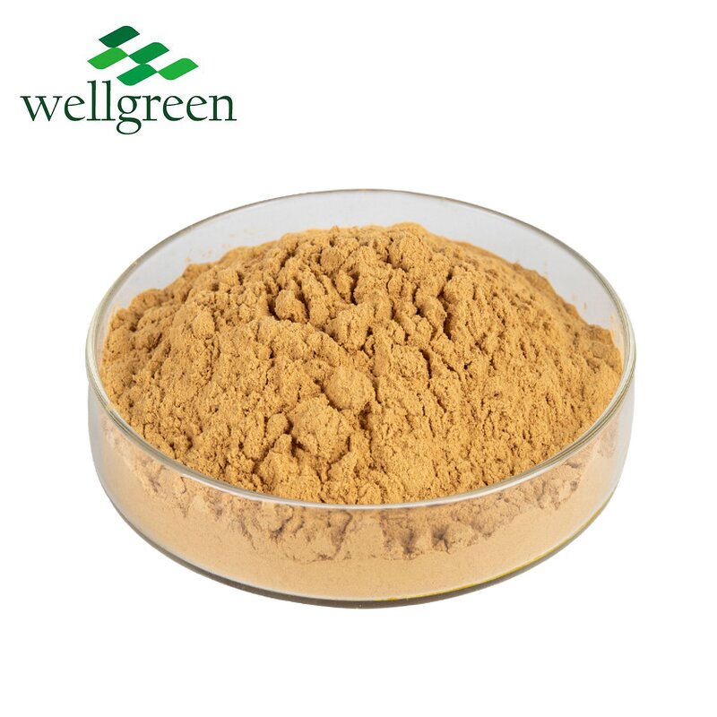 Soy Lecithin Manufacturer - Soybean Sunflower Phosphatidylcholine GMP