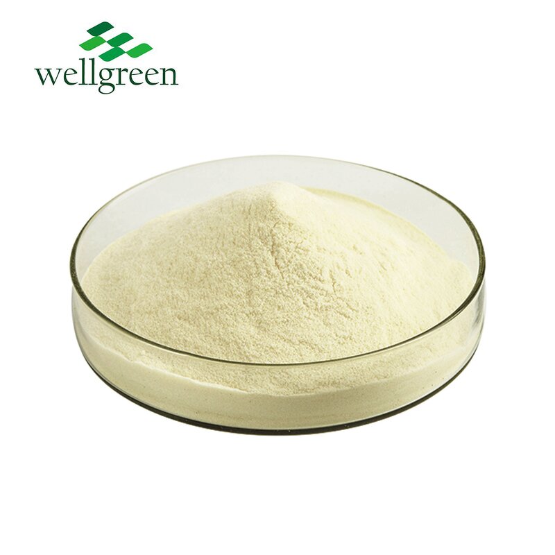 Liposomal Vitamin C Powder Manufacturer - Wellgreen 50% Ascorbic Acid