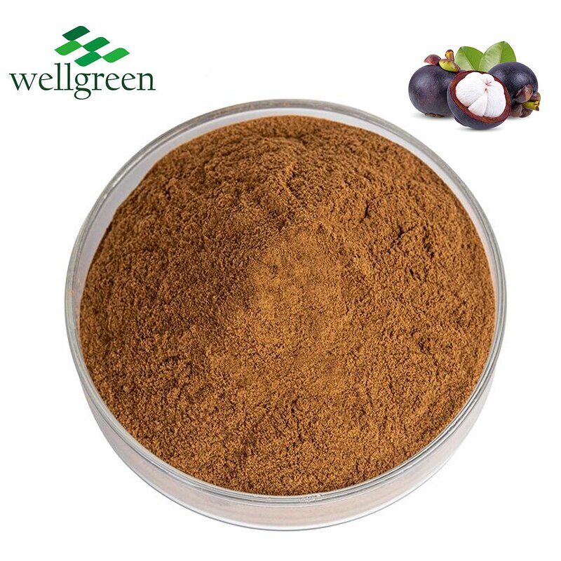 Mangosteen Powder Manufacturer - Fresh Fruit Frozen Dried Natural Extract