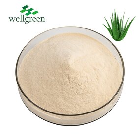 Aloe Vera Extract Manufacturer - Wellgreen Organic 10:1 for Drink Supplements