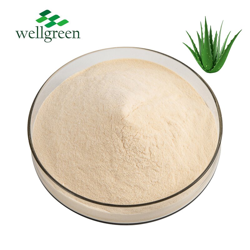 Aloe Vera Extract Manufacturer - Wellgreen Organic 10:1 for Drink Supplements