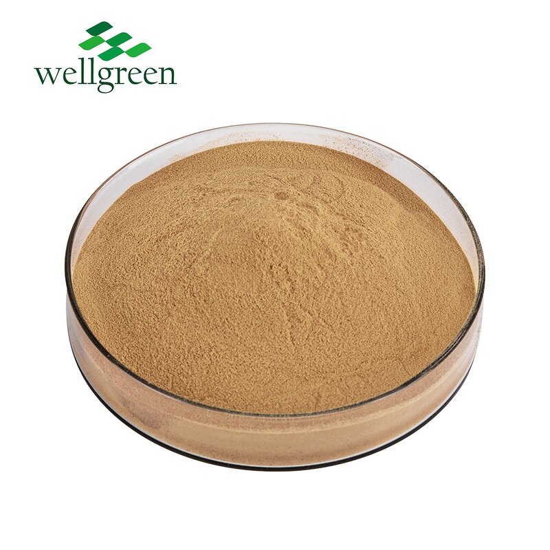 Shiitake Mushroom Powder Manufacturer - Factory Outlet Lentinus Edodes Extract