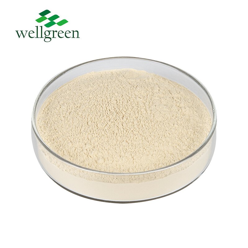 Almond Powder Manufacturer - Juice Nutrition Casa Shell Instant Milk Flour Protein