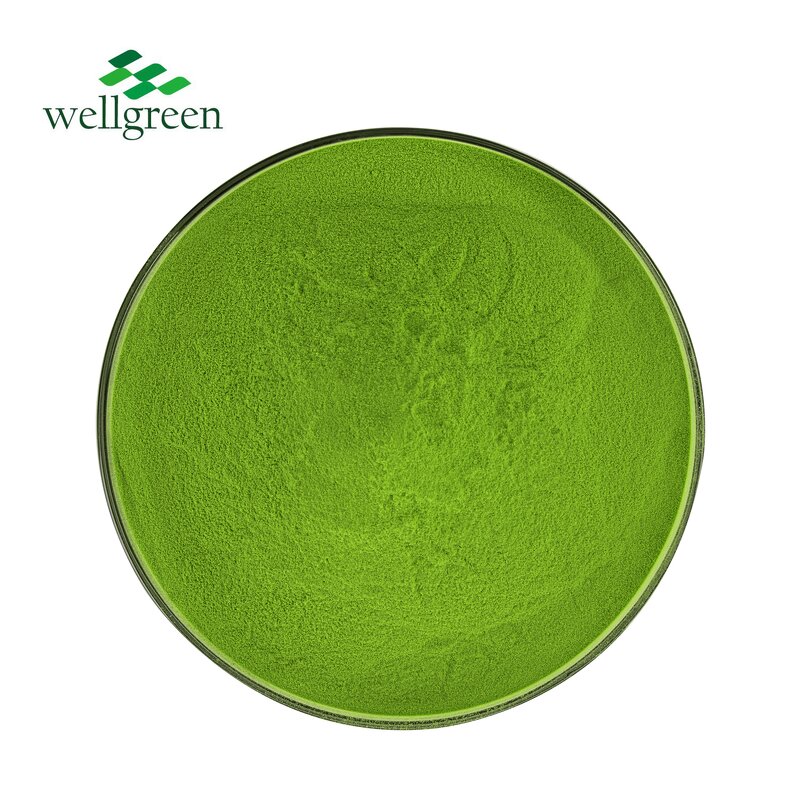 Matcha Powder Manufacturer - Instant Green Tea Ceremonial 100% Organic