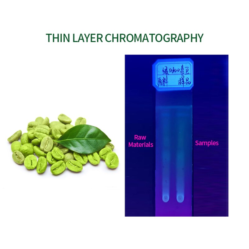 Chlorogenic Acid Powder Manufacturer - 50%-98% Purity, Green Coffee Bean Extract