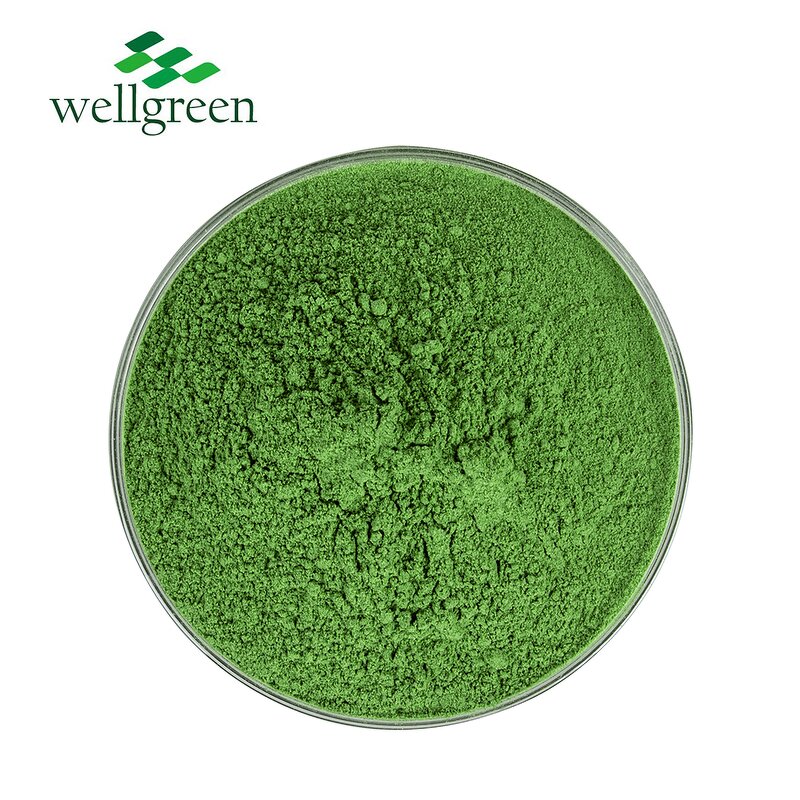 Wheat Grass Powder Manufacturer - Water Soluble Organic Freeze Dried