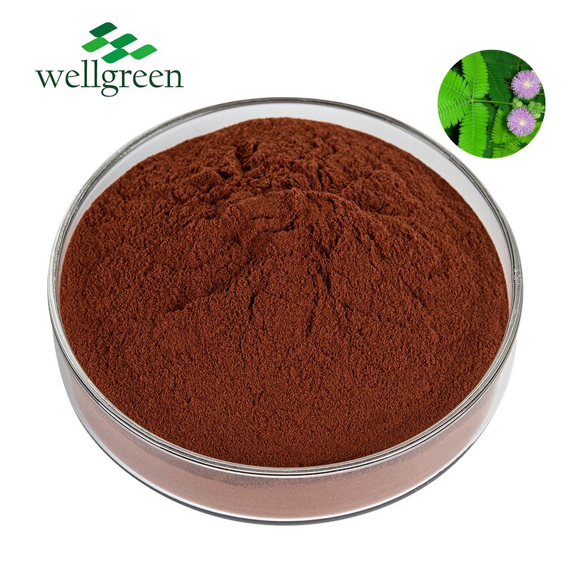 Mimosa Root Bark Extract Powder Manufacturer - Hot Selling Sensitive Plant