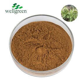 Butterbur Extract Powder Manufacturer - Reliable Factory Petasites Hybridus Petasin
